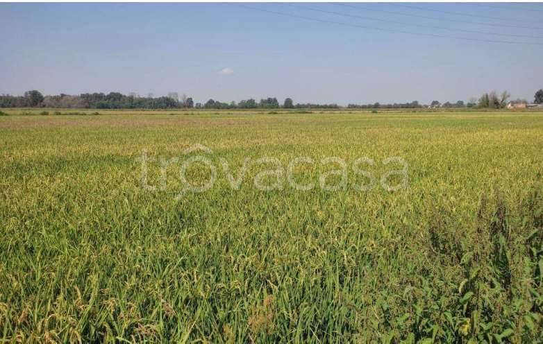 casale in vendita ad Ozzero