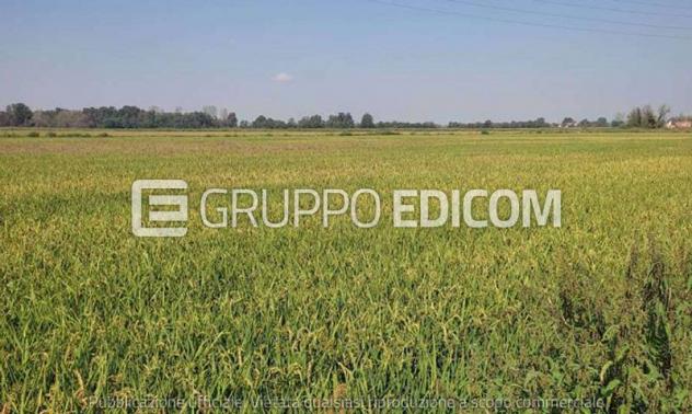 casale in vendita ad Ozzero