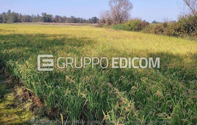 casale in vendita ad Ozzero