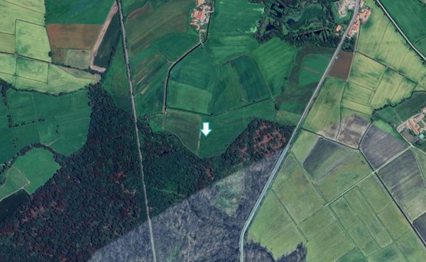 terreno agricolo in vendita ad Ozzero