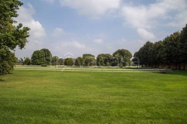 terreno agricolo in vendita ad Ozzero