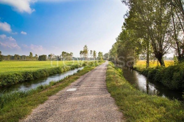 terreno agricolo in vendita ad Ozzero in zona Soria Vecchia
