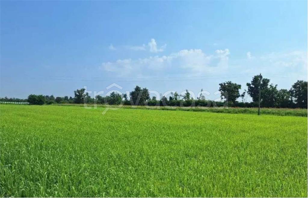 terreno agricolo in vendita ad Ozzero