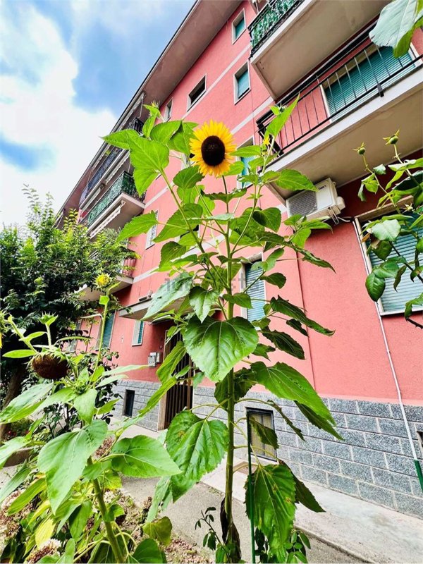 appartamento in vendita a Paderno Dugnano