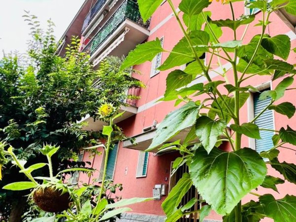 appartamento in vendita a Paderno Dugnano in zona Palazzolo Milanese