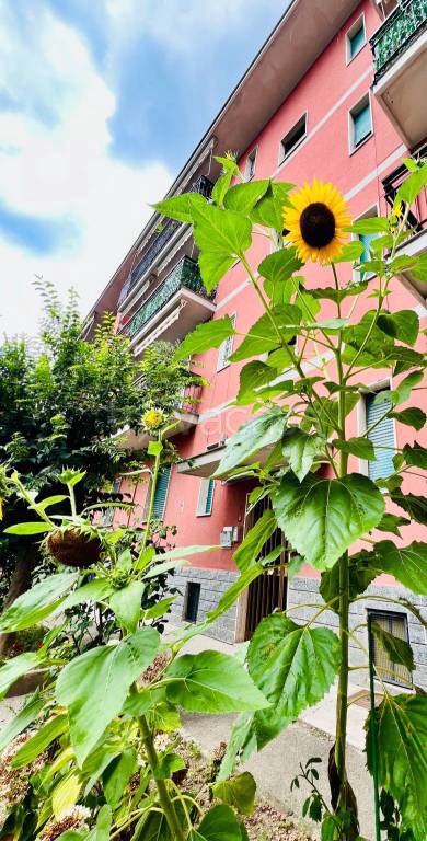 appartamento in vendita a Paderno Dugnano
