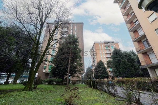 appartamento in vendita a Paderno Dugnano in zona Palazzolo Milanese