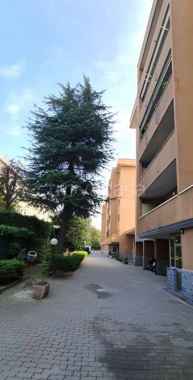 appartamento in vendita a Paderno Dugnano in zona Calderara