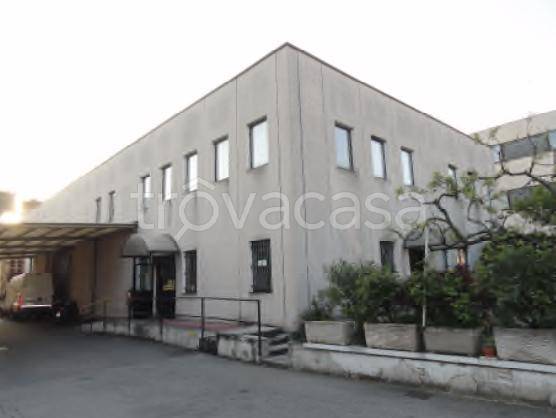 appartamento in vendita a Paderno Dugnano