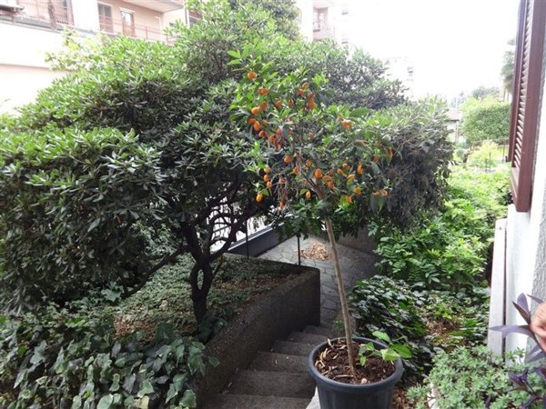 casa indipendente in vendita a Pantigliate