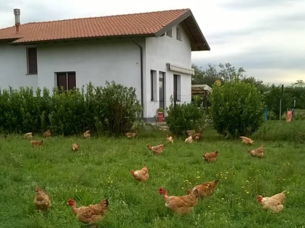 casa indipendente in vendita a Parabiago