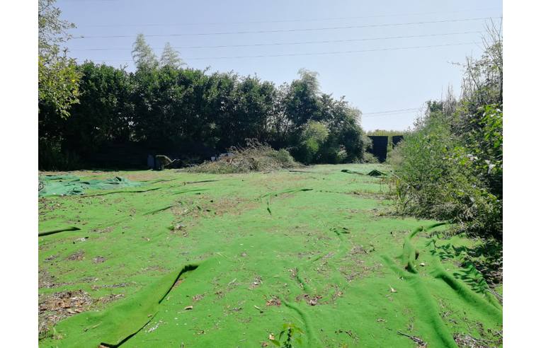 terreno agricolo in vendita a Parabiago