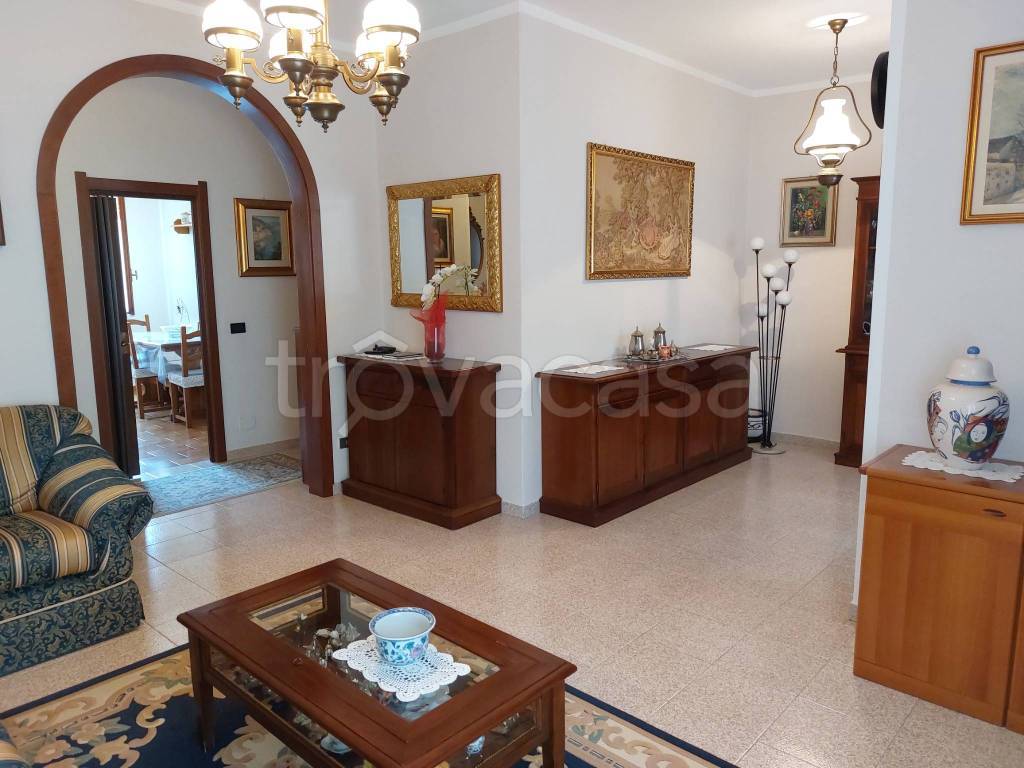 immagine annuncio 0 di 15