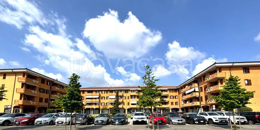 negozio in vendita a Paullo