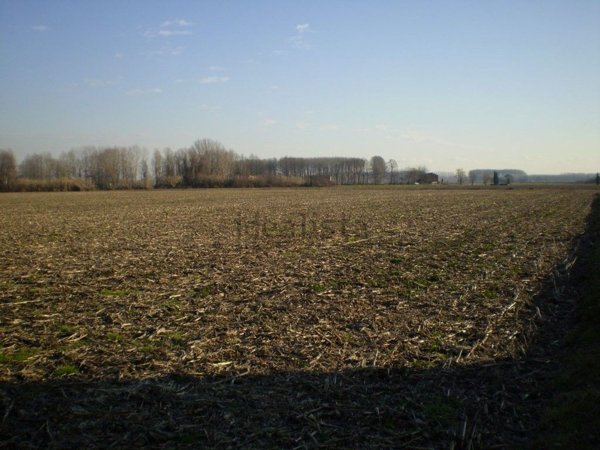 azienda agricola in vendita a Paullo