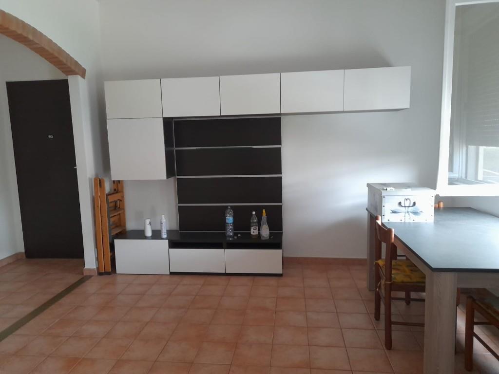 appartamento in vendita a Peschiera Borromeo in zona Canzo