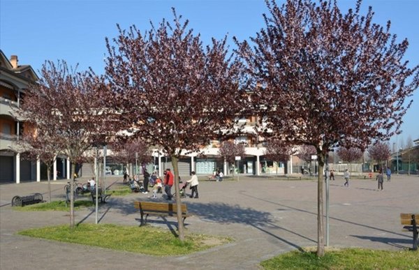 negozio in vendita a Peschiera Borromeo in zona Mezzate