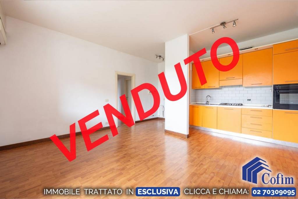 appartamento in vendita a Peschiera Borromeo in zona Linate