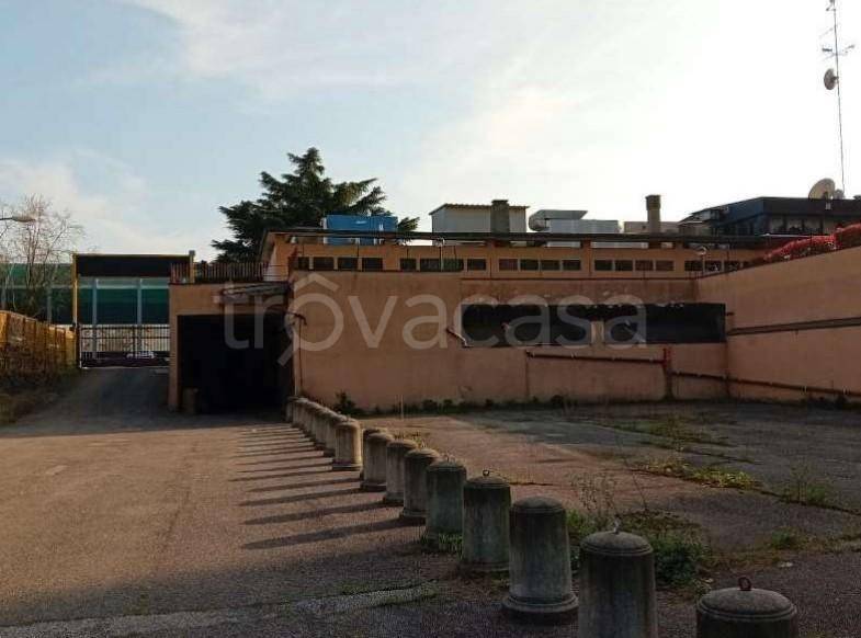 negozio in vendita a Peschiera Borromeo