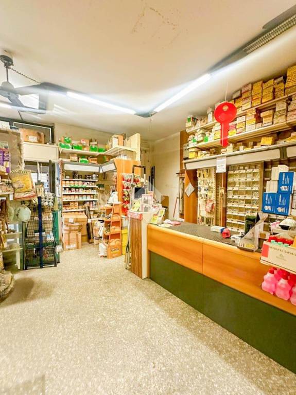 negozio in vendita a Peschiera Borromeo in zona Bettola