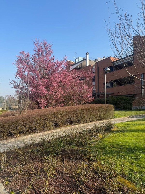 appartamento in vendita a Peschiera Borromeo in zona San Bovio