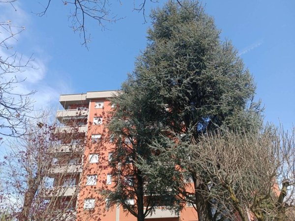 appartamento in vendita a Peschiera Borromeo in zona Bettola