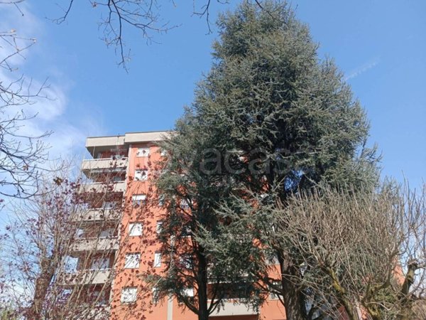 appartamento in vendita a Peschiera Borromeo