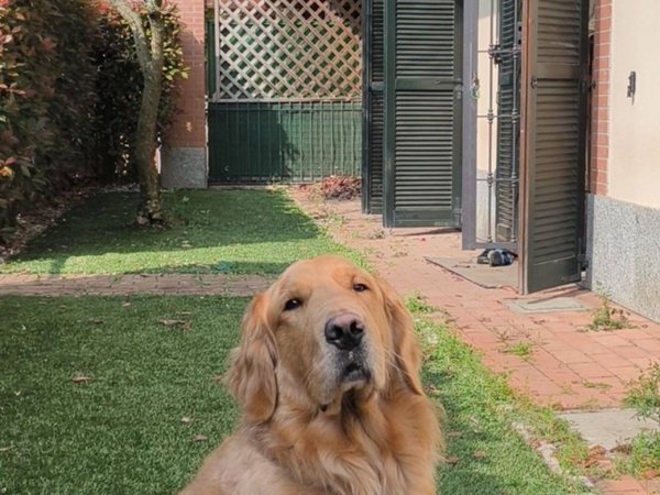 appartamento in vendita a Peschiera Borromeo