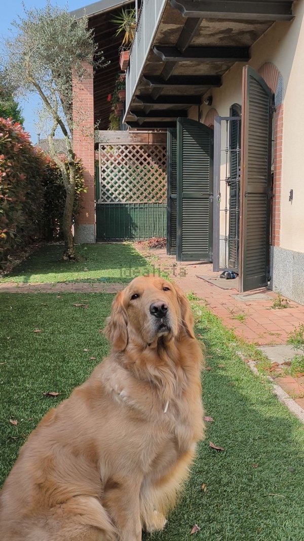 appartamento in vendita a Peschiera Borromeo