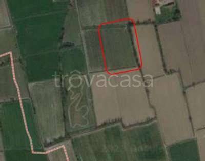 terreno agricolo in vendita a Peschiera Borromeo