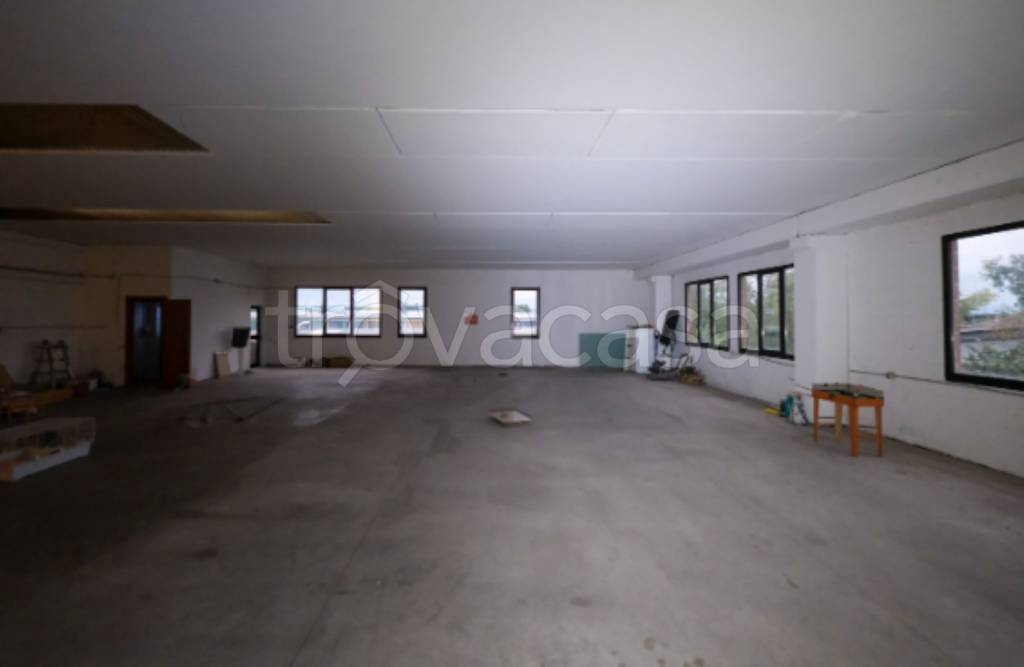 immagine annuncio 0 di 13