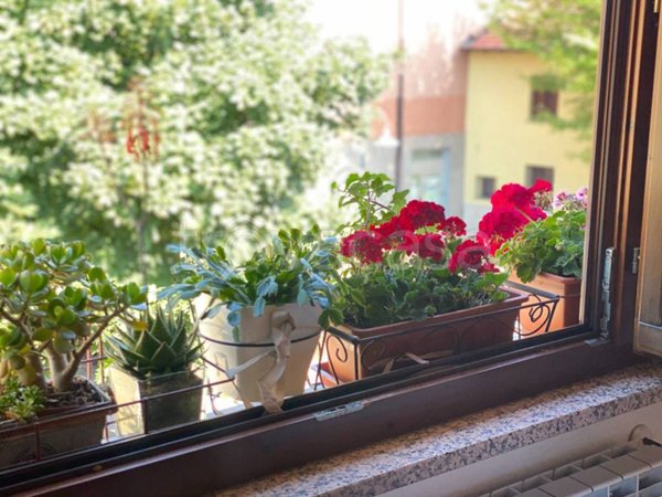 appartamento in vendita a Pioltello