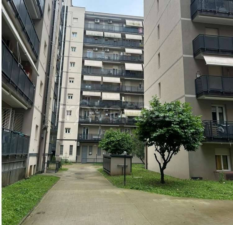 appartamento in vendita a Pioltello