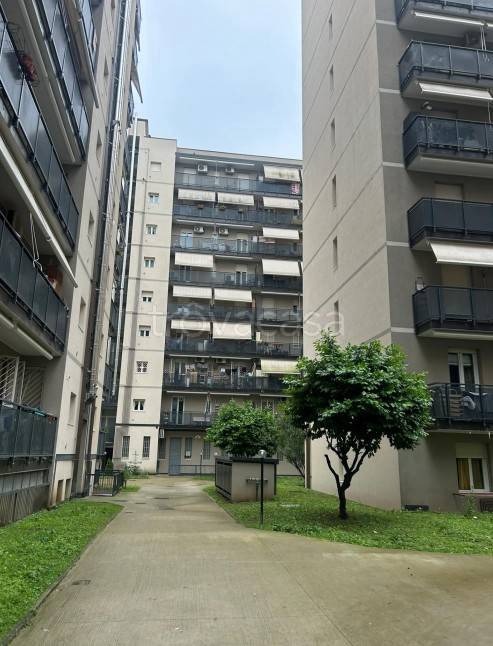 appartamento in vendita a Pioltello