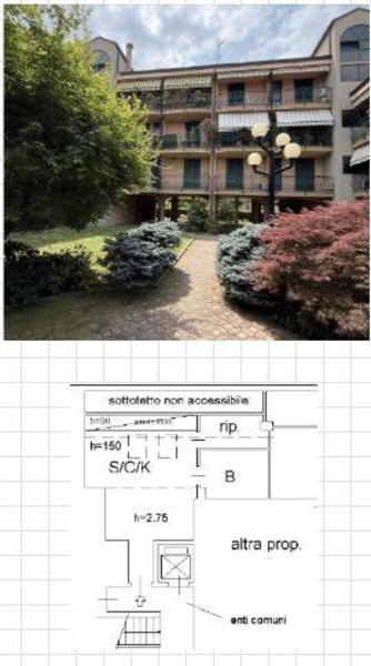 immagine annuncio 0 di 1