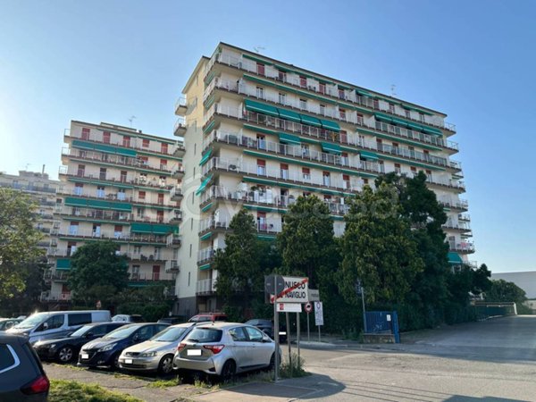 appartamento in vendita a Pioltello in zona Limito