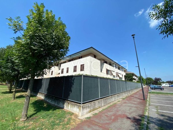 immagine annuncio 0 di 15