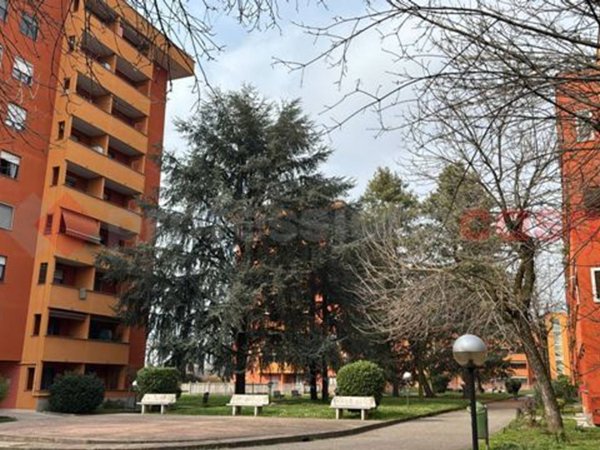 appartamento in vendita a Pioltello