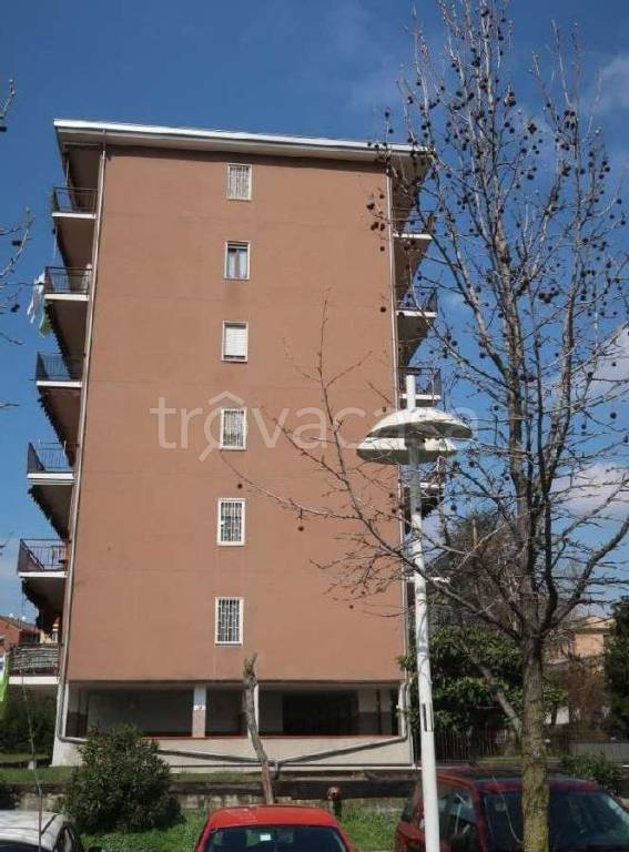 appartamento in vendita a Pioltello