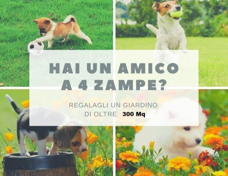 appartamento in vendita a Pozzo d'Adda