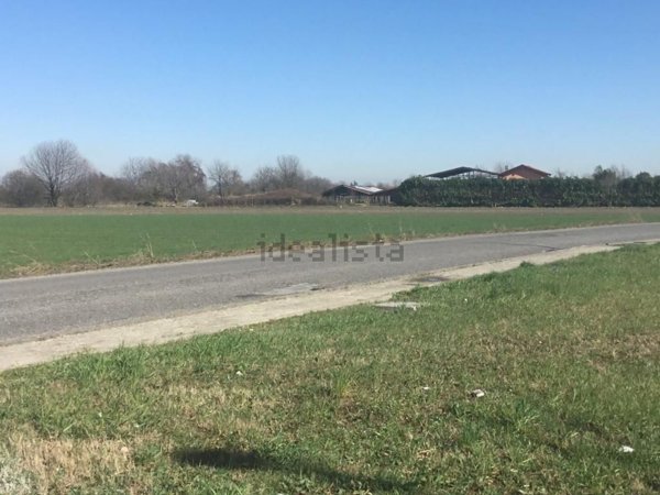 pentavano in vendita a Pozzo d'Adda