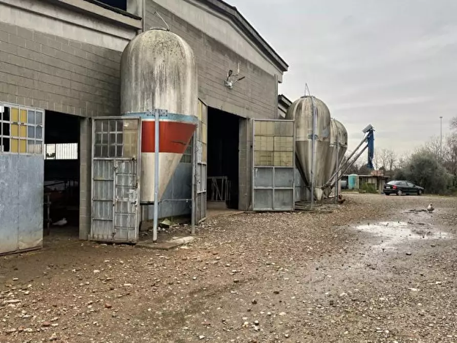 casa indipendente in vendita a Pregnana Milanese