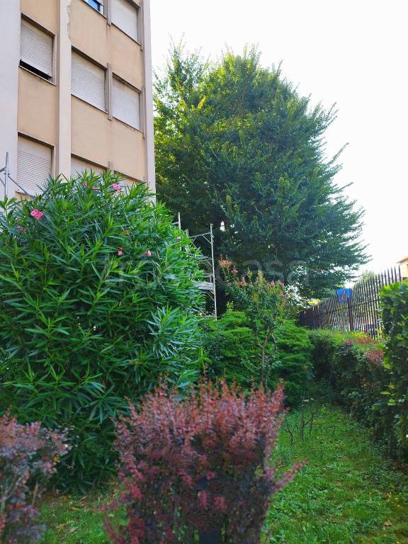 appartamento in vendita a Rho