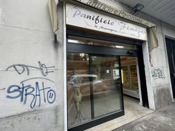 immagine annuncio 0 di 5