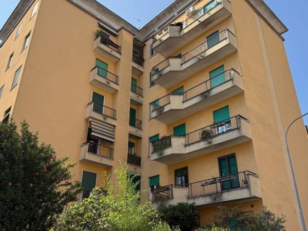 appartamento in vendita a Rho