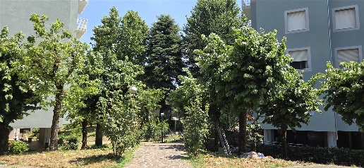 appartamento in vendita a Rho