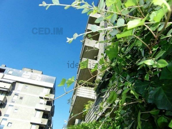 appartamento in vendita a Rho