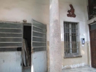 appartamento in vendita a Rho