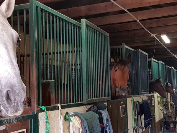 terreno edificabile in vendita a Rho in zona Castellazzo