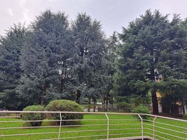 appartamento in vendita a Rho in zona Mazzo